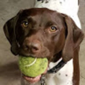 Meet your Posher, Charles